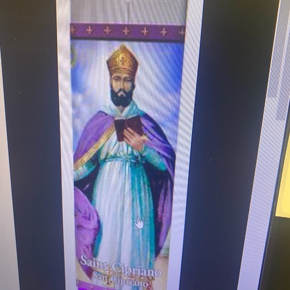 Meet your Posher, Brenda - Picture 1 of 1